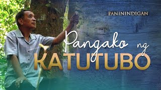 Pangako ng Katutubo  PANININDIGAN [upl. by Swayder220]