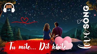 Tu Mile Dil Khile  New Hindi Songs [upl. by Aihsem]