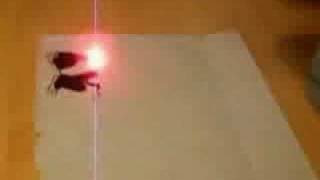 CNC laser ploter burns evil monkey [upl. by Lura]