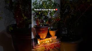 Braham muhurat pooja❤️pandit tulsikeupaypradeepjimishra ytshorts shorts tulasivivahtrending [upl. by Ermina]