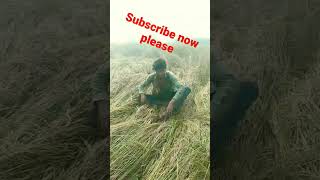 comedy new 2023 short video Youtubeshort shortvideo trending video [upl. by Charpentier]