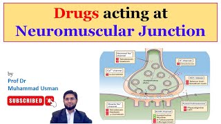 Drugs Acting at Neuromuscular Junction  Muscle Physiology [upl. by Nesmat]