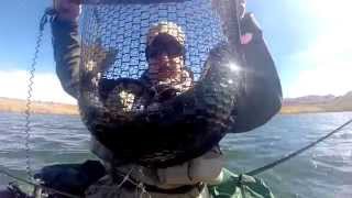 Fly Fishing for Trophy Trout Dordrecht Eastern Cape South Africa [upl. by Rawlinson782]