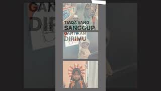 masukberanddonk udahguyskememengtanganku [upl. by Franny]