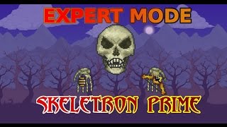 EXPERT MODE SKELETRON  Terraria 1308 Poradnik [upl. by Millan]