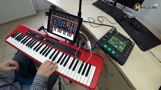 Синтезатор Casio CTS200  Chordana Play Инструкция по подключениюManualMoogminiMoog [upl. by Kingsbury]