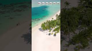 Riu Atoll Maldives 🇲🇻 shorts  Drones Tropical Flight [upl. by Adnek183]