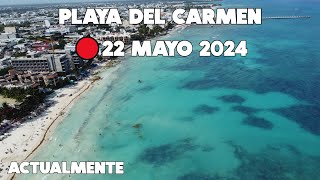 PLAYA DEL CARMEN🚨22 MAYO 2024 AL MOMENTO SIN SARGAZO [upl. by Ange]