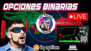 🔴TRADING OPCIONES BINARIAS🔴 218 USD ESTRATEGIA TIBURÓN SESIÓN COPY TRADING  IQ OPTION [upl. by Dinan759]