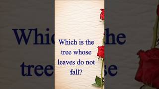 Which is the tree whose leaves do not fall quran hadith quranforeveryheart quranrecitation [upl. by Aphrodite]