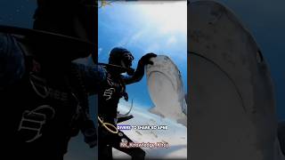 Sharks  Shark Attacks  Shark and Mane  why Shark is not attacking scooba Diver shark fact [upl. by Lindsay640]