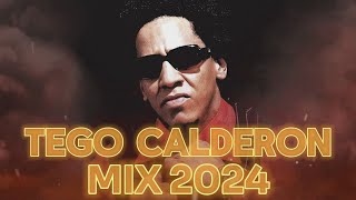 TEGO CALDERON MIX 2024  REGGAETON VIEJO MIX  REGGAETON CLASICO MIX 2024 [upl. by Demetri424]