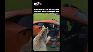 When a Bear Breaks your Lamborghini Door [upl. by Enrobialc]