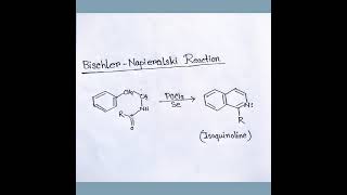 BischlerNapieralski Reaction [upl. by Lamoureux]