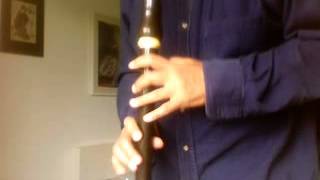 C Monteverdi Il lamento di Arianna for tenor recorder [upl. by Kisung]