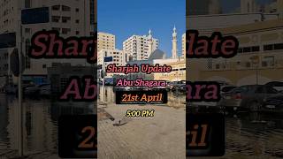 Sharjah Flood Update 21st April 2024 Abu Shagara sharjah flood abushagarah [upl. by Stock495]