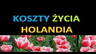 KOSZTY I REALIA ŻYCIA W HOLANDII [upl. by Ellecram44]