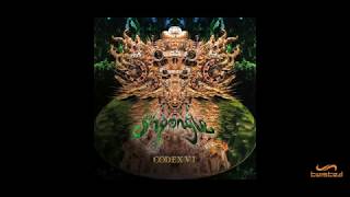 Shpongle  I Woke Up As A Shlummutz [upl. by Ramuk]