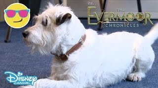 The Evermoor Chronicles  Behind The Scenes The Dog Challenge  Official Disney Channel UK [upl. by Adnilrem]