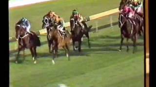 McGinty1984 Rawson Stakes [upl. by Schatz678]