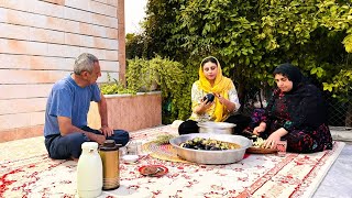 Making pickled eggplant with pomegranate paste  Real village life [upl. by Stern42]