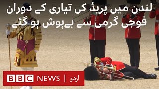 London Soldiers faint while rehearsing for quotTrooping the Colourquot parade  BBC URDU [upl. by Watkins]