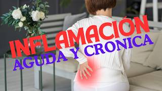 INFLAMACION AGUDA Y CRONICA APRENDE SOBRE ELLAS [upl. by Eillen967]