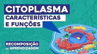 CITOPLASMA características e funções  Biologia  Recomposição de Aprendizagem  Cláudia Aguiar [upl. by Stig21]