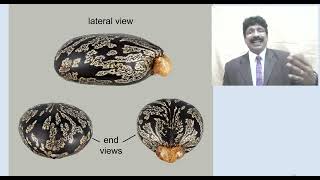 Lipids Lecture 3 for Pharm D students 2 Nov 2024 [upl. by Parfitt267]