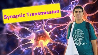 شرح محاضرة synaptic transmission part 1 لكلية الطب البشري قسم ال physiology [upl. by Emolas]