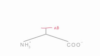 Memorize the 20 amino acids in 20 minutes Part 1 [upl. by Anelyak]