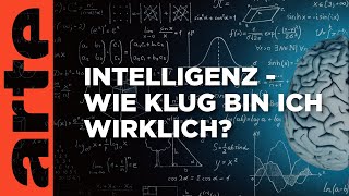 Wie klug bin ich wirklich  Über den Wert unseres IQ  ARTE Saloon Livetalk [upl. by Oiznun]