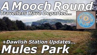 Mooching Around Mules Park  Station Updates  150824 [upl. by Lindsley]