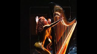 LIVE TEASER Martina Stock  A visual perfroming Soundsculpture  Electroacoustic Harp with Light [upl. by Enyaz]