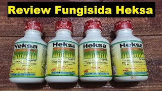 Review Fungisida Heksa  Fungsi  Manfaat Dosis Cara Penggunaan Fungisida Heksa [upl. by Kjersti993]