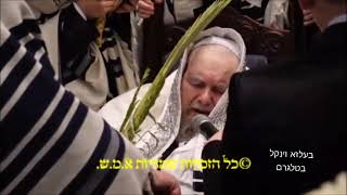 Belz Rebbe Leading The Davening  Hoshana Rabbah 5785 [upl. by Tray953]