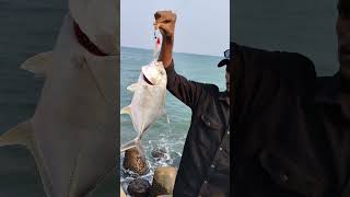 Catching Giant Trevally Fish in Uppada Fishing Harbour Fishers King YouTube Channel [upl. by Donna800]