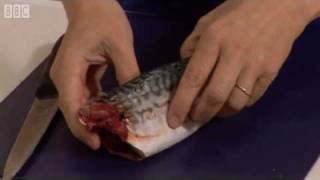 How to fillet a mackerel  BBC GoodFood com  BBC Food [upl. by Berna908]