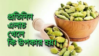 Pratidin elach khele ki upokar hoy Elaich Benefits in Bangla [upl. by Ahcurb]