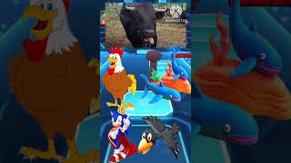 cartoon hen coffin Vs fish coffin Vs Sonic Dance coffin 🆚 cartoon Crow coffin 🎶short shorts [upl. by Tobie881]