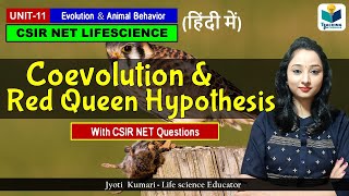 Coevolution amp Red Queen Hypothesisin Hindi  Evolution  CSIR NET 2024 [upl. by Squires]