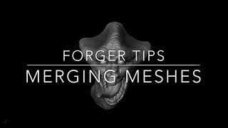 Forger Tips Merging Meshes [upl. by Aik892]