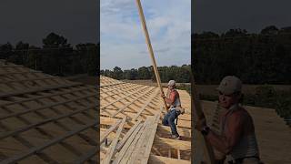 Framing pole barn [upl. by Eaj]