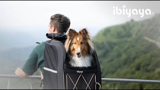 Effortlessly Carry Your Heavy Pets ｜Champion Mediumsized Pet Carrier Backpack [upl. by Kerekes418]