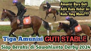 Tiga Amunisi GUTI STABLE Siap Beraksi di Sawahlunto DerbyAmunisi Baru Ternyata Adik Kuda Hebat Ini [upl. by Airotkiv]