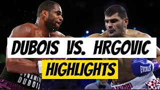 DANIEL DUBOIS VS FILIP HRGOVIC KNOCKOUT FIGHT HIGHLIGHTS [upl. by Germano]