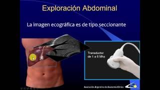 exploración ecográfica del abdomen [upl. by Anders]