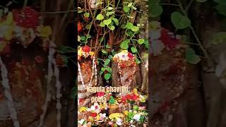 Nagula chavithi pooja 🐍🪔nagulapanchaminagammapooja festivalshiva musicsong devotionalshorts [upl. by Lepper]