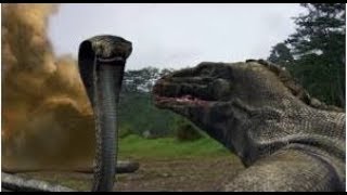 Black Mamba vs Mongoose vs King Cobra vs Komodo vs Phython [upl. by Amhser]