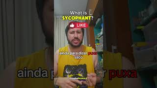 What is SYCOPHANT [upl. by Onyx]